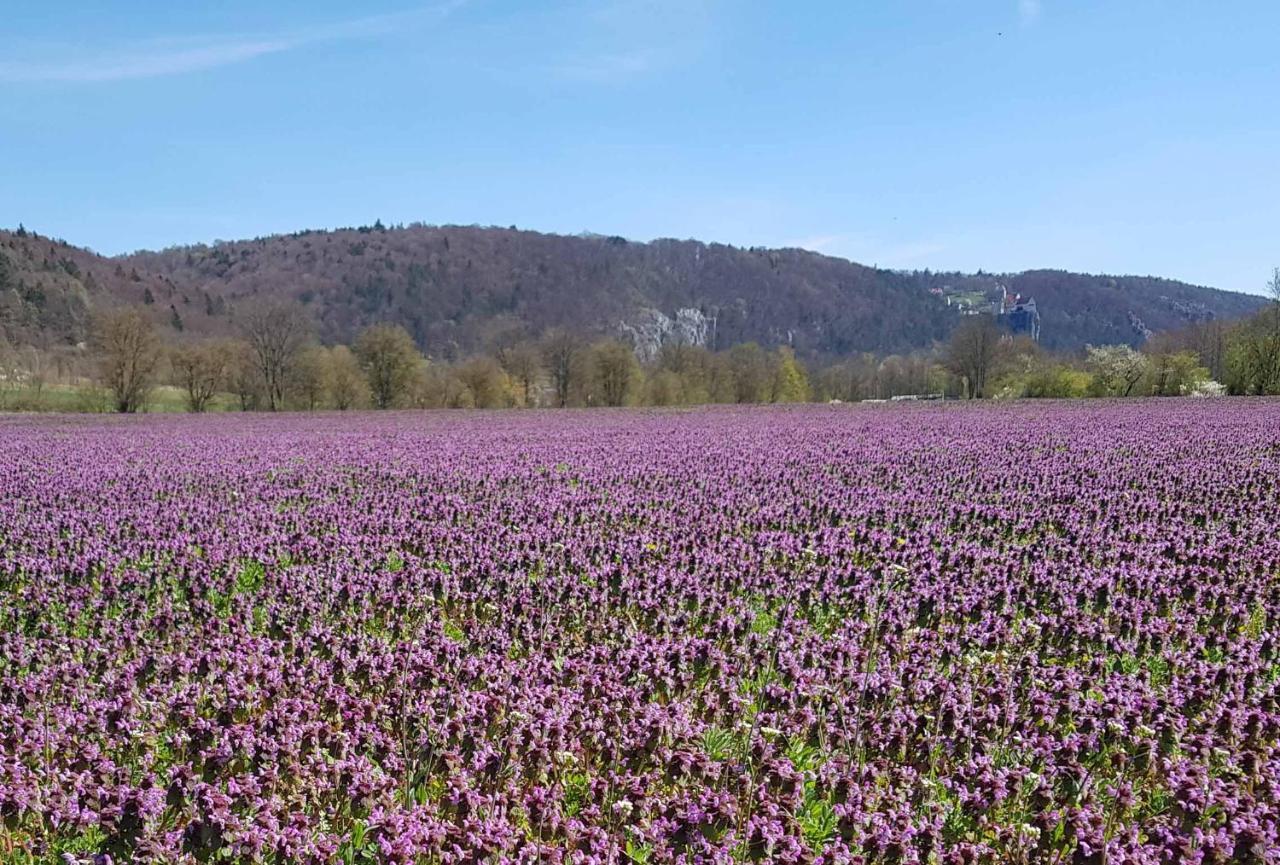 Fewo Lehner Riedenburg Dış mekan fotoğraf