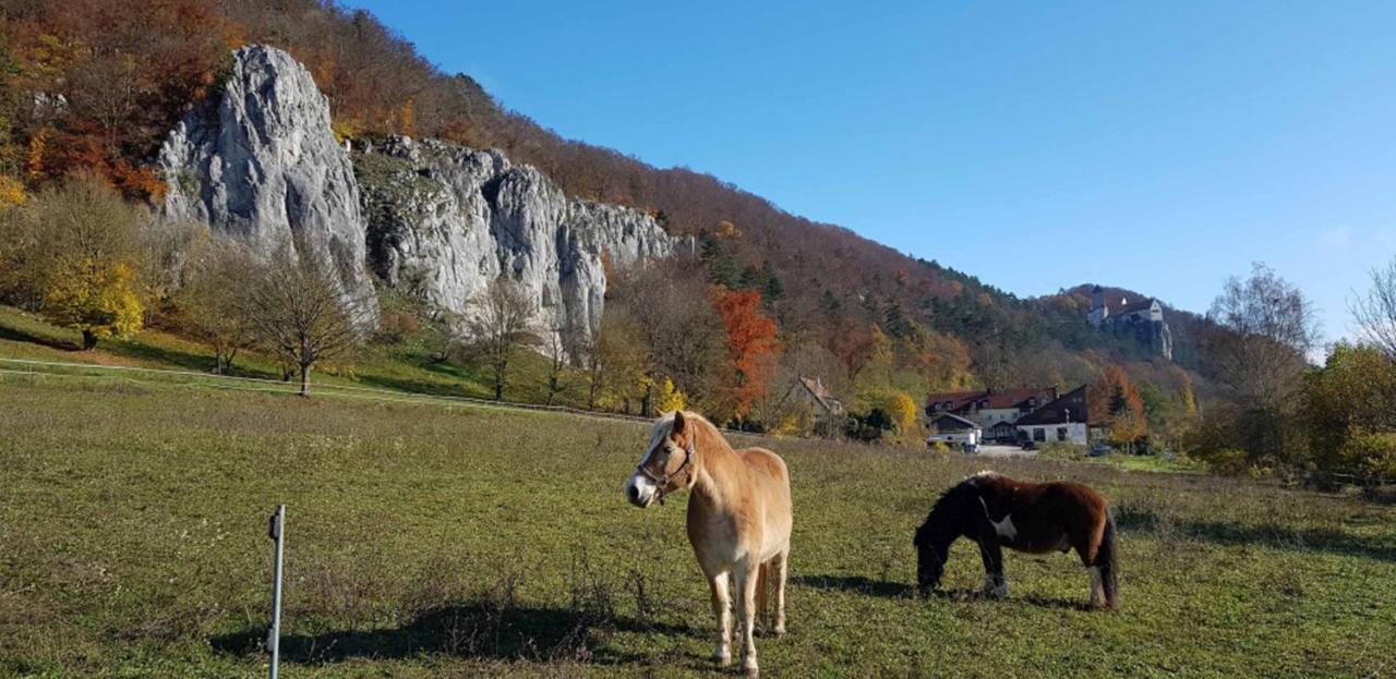 Fewo Lehner Riedenburg Dış mekan fotoğraf