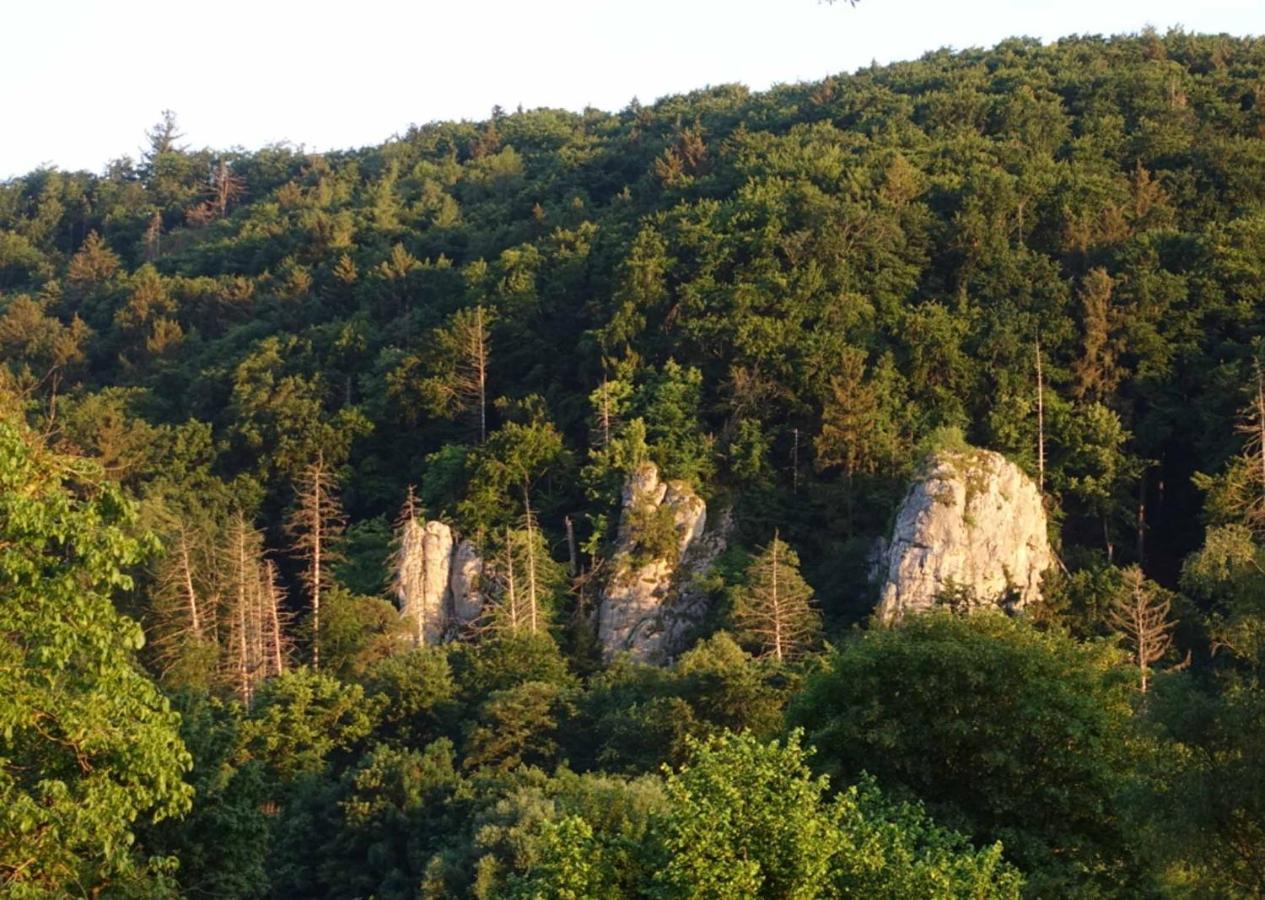 Fewo Lehner Riedenburg Dış mekan fotoğraf